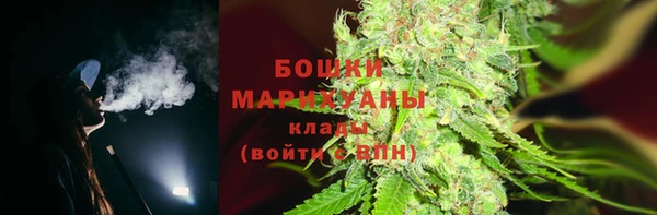 ПСИЛОЦИБИНОВЫЕ ГРИБЫ Алзамай
