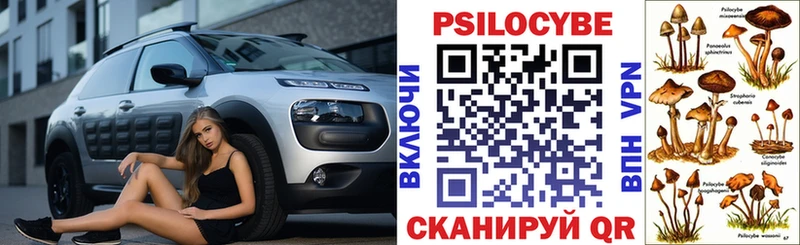 Псилоцибиновые грибы прущие грибы  Купить закладки  Суоярви 
